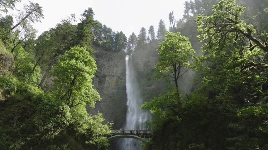 The waterfall has trees at the top