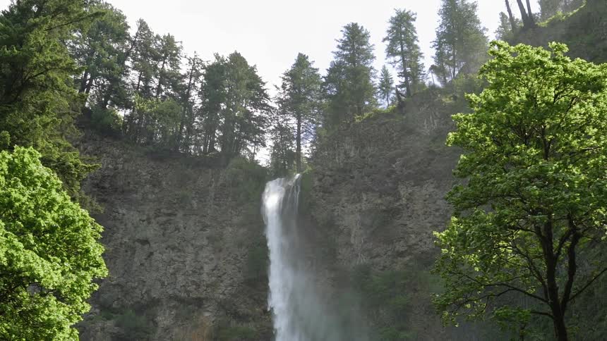 A waterfall flows over a cliff in a forest