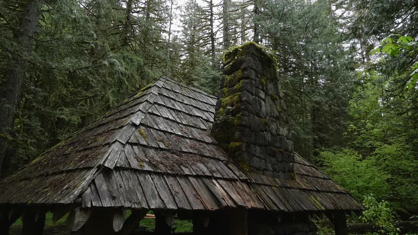 An old wood building stands in a forest