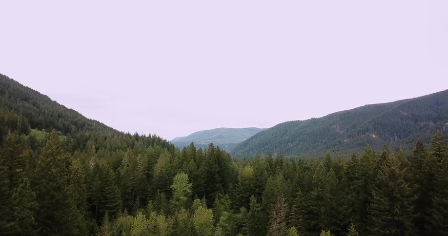 Oregon Forest And Rivers Aerials
