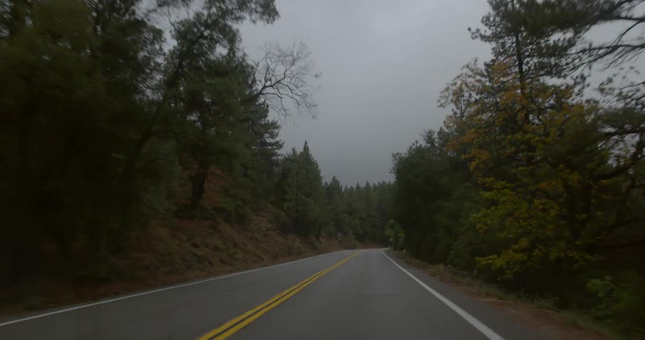 A road near a forest is traveled down on an overcast day