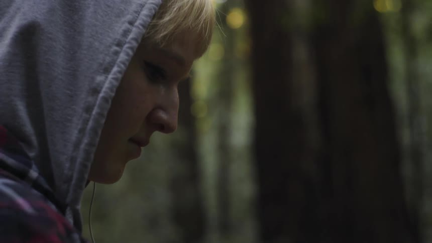 Included person looking downward amongst tall trees in the forest
