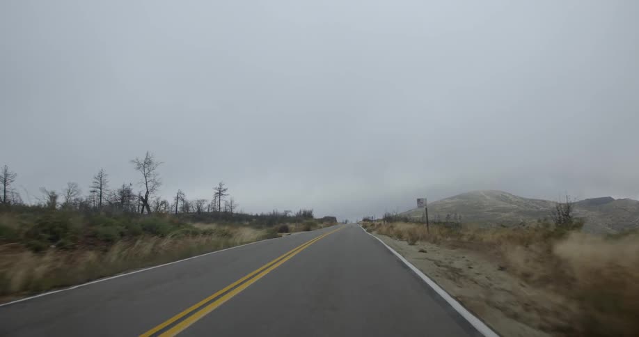 A vehicle drives down a road in the wilderness