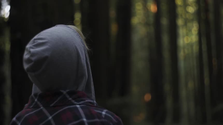 A person gazes up at the trees in a forest