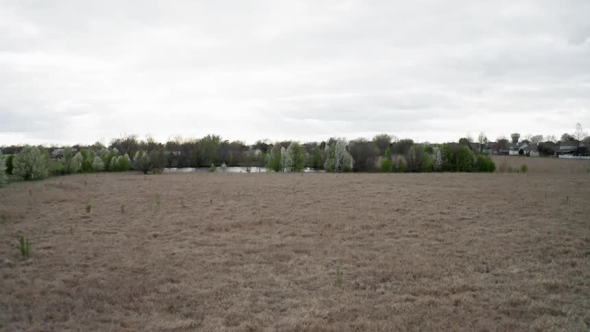 Brown grass covers a rural field