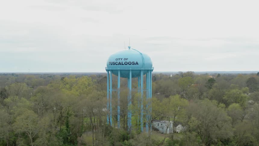 The water tower rises high above the trees