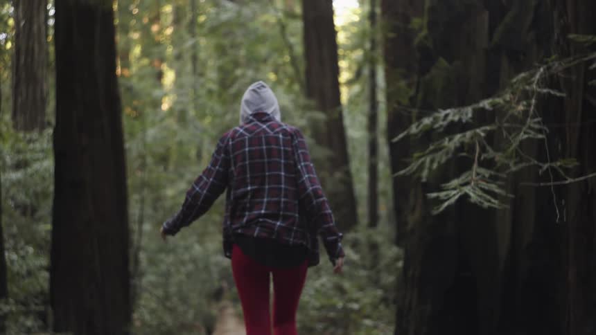 A person walks on a log in the forest