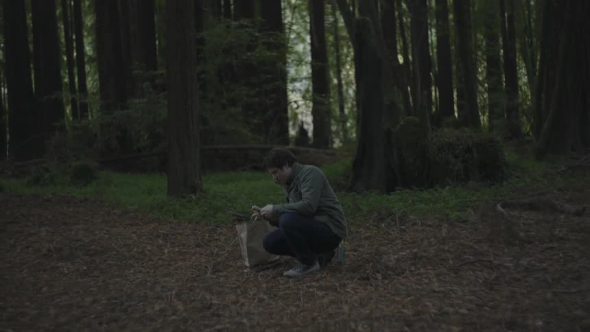 A man kneels in the forest and flips through a book in the evening