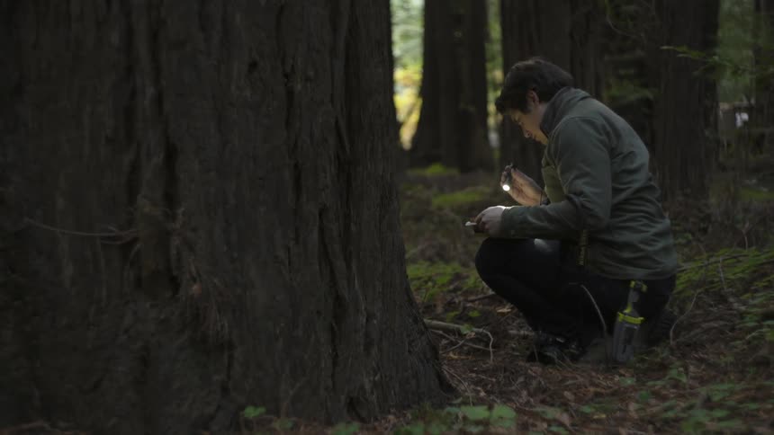 A man in a forest squats and looks at a book using a flashlight