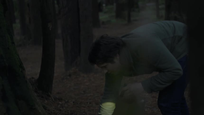A man picks up mushrooms from the forest ground in the evening