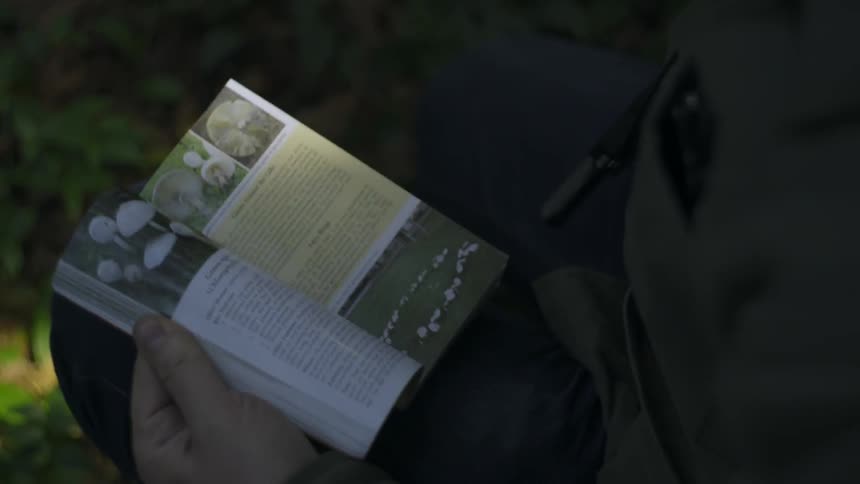 A man shines a flashlight on mushrooms in the woods