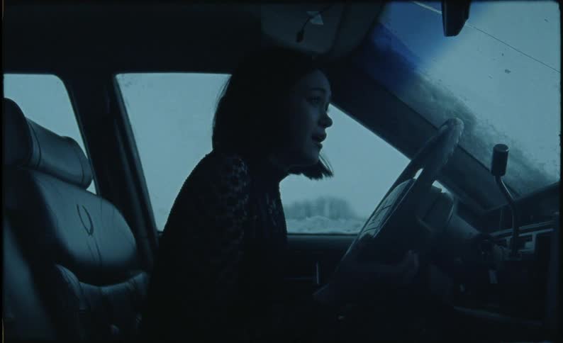 Woman sits screaming and crying in a car
