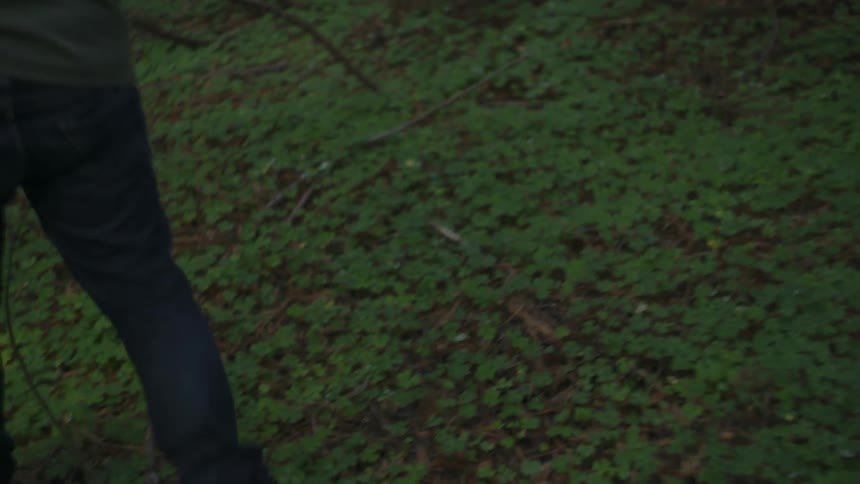 A man searches the forest ground with a flashlight