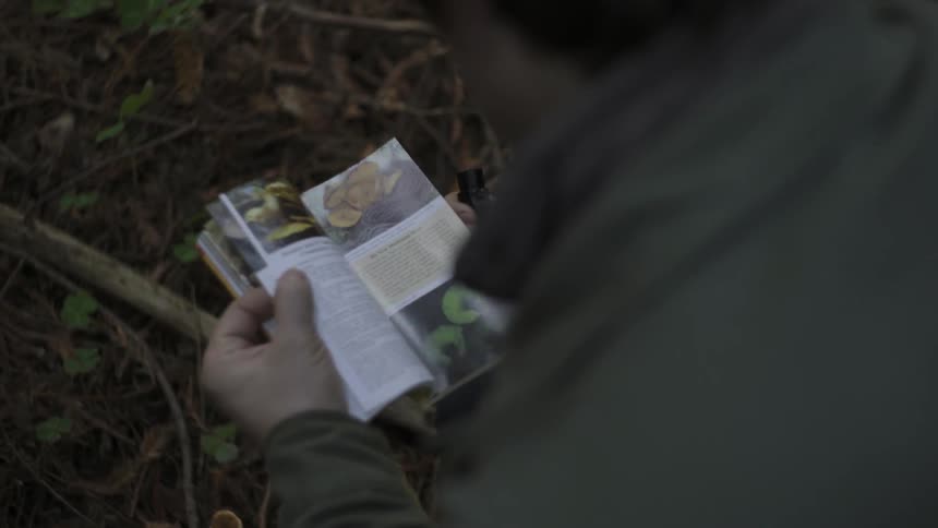 A man examines a mushroom and consults a reference book in the woods