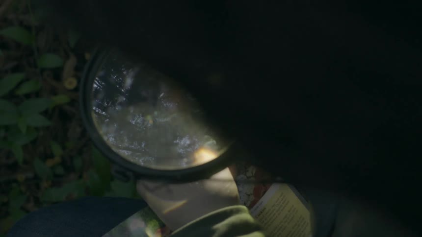 A person uses a magnifying glass to examine a leaf