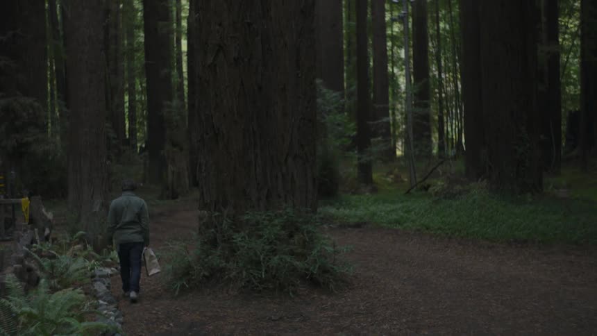 A man carries a bag through the woods