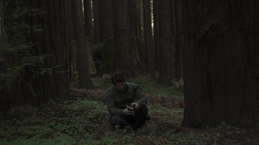 A man is sitting in the forest and reading a book
