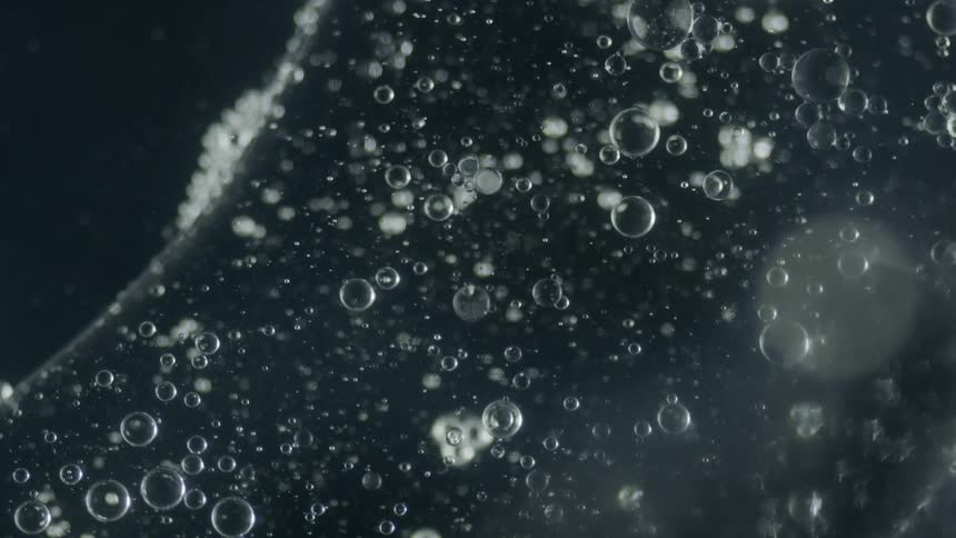 Bubbles are suspended in a liquid