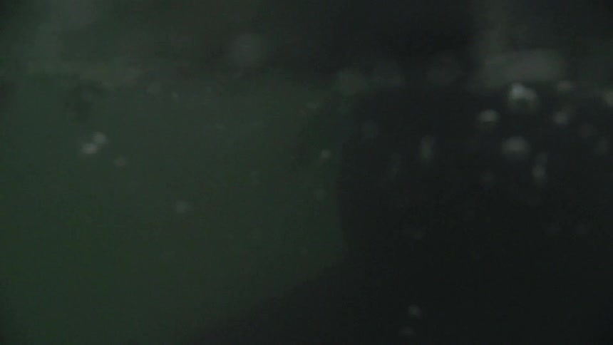 Man in a black wet suit stands in the water
