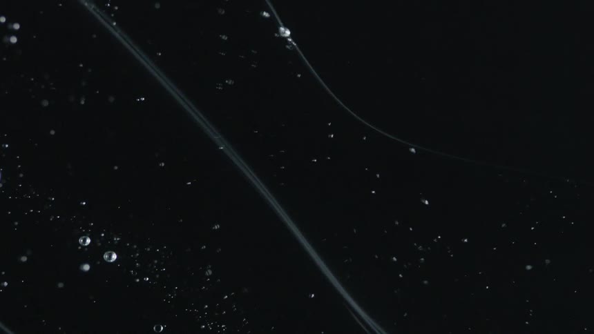 Bubbles are suspended in a liquid