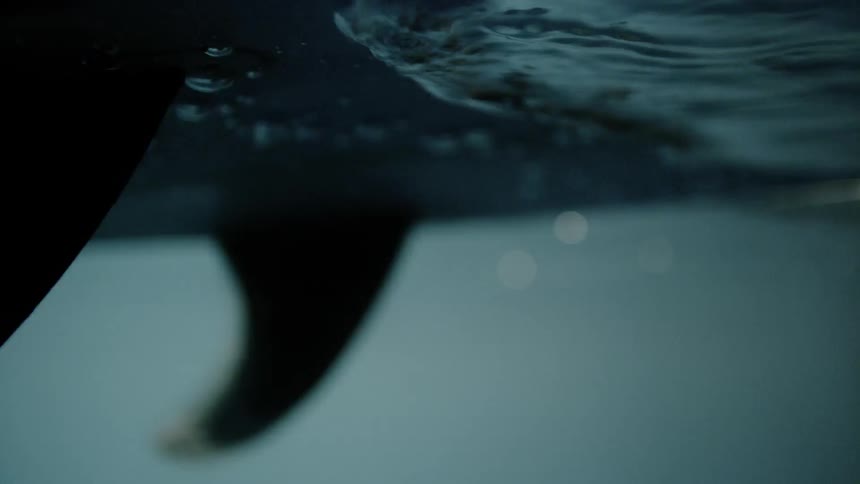Woman Surfing In The Ocean