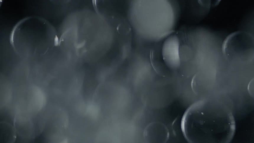 Bubbles float in water
