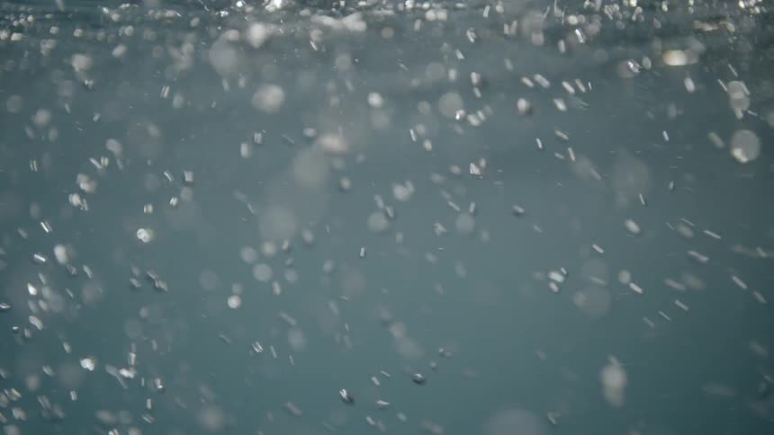 Bubbles rise to the water surface