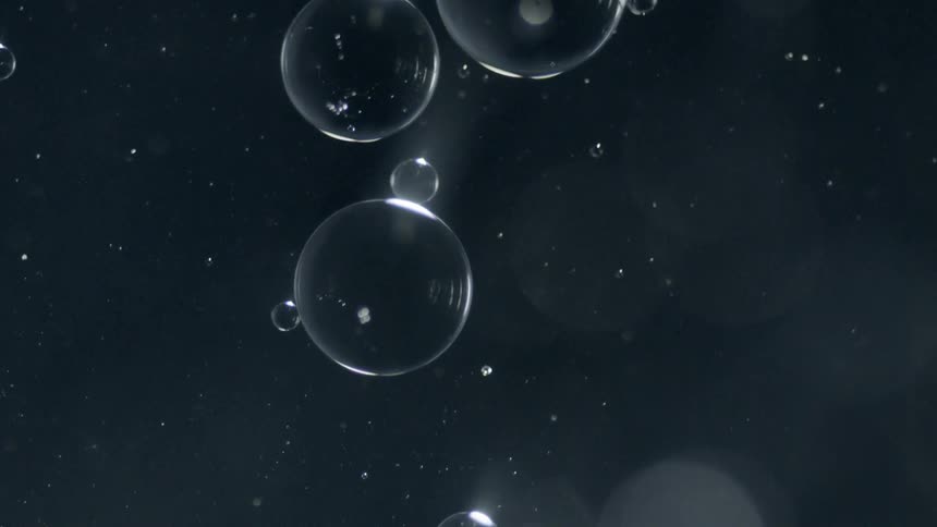 Bubbles float to the surface of the water