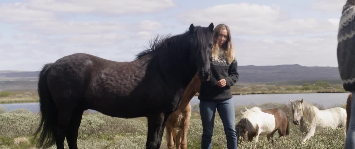 A woman pets horses in a rural field