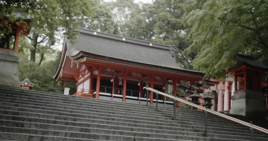 Stairs lead up to an asian style building surrounded by trees