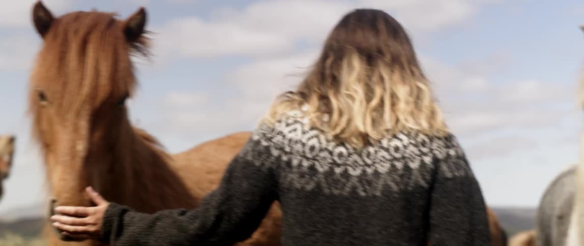 A woman pets the horses