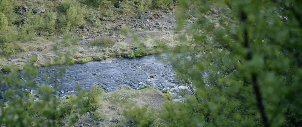 Water flows in the creek