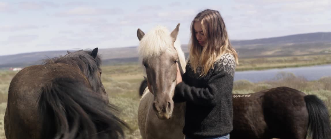 Woman is petting horses in pasture on sunny day