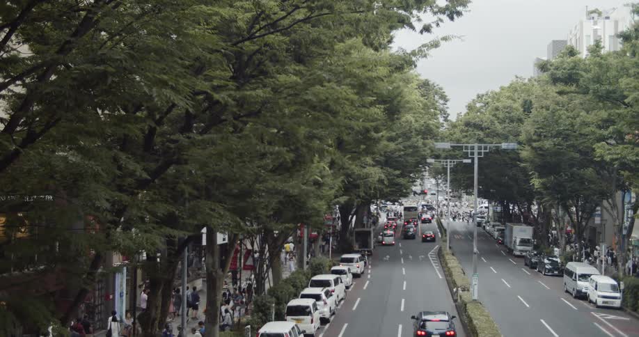 Cars drive on a city street
