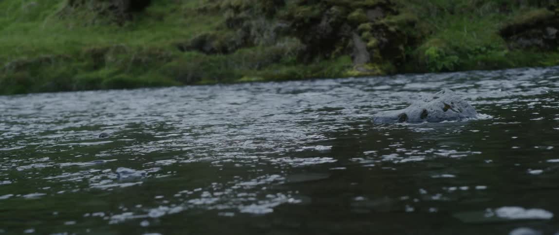 Water in a river is flowing past a rock in daylight