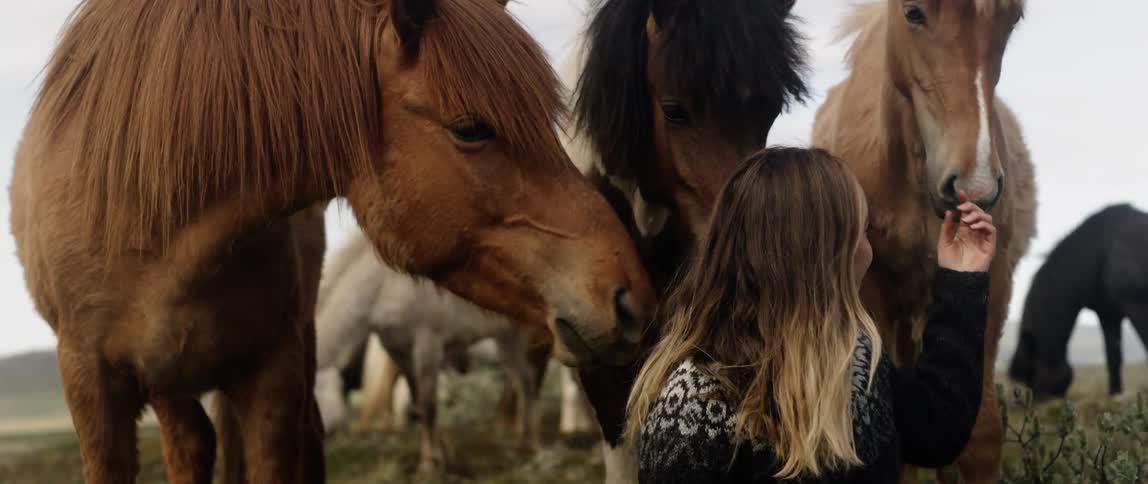A woman smiles while petting horses