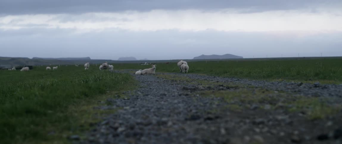 Friends Traveling Around Iceland