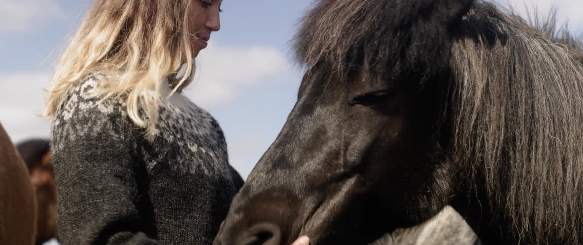Women With Horses In Iceland