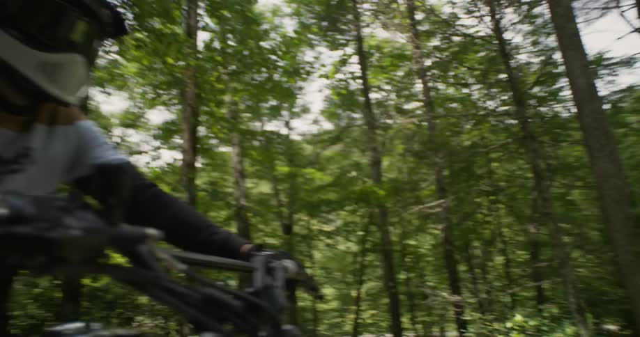 A dirt bike is ridden through the woods