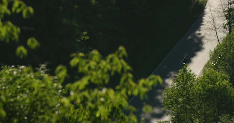 A motorcyclist rides on a rural road