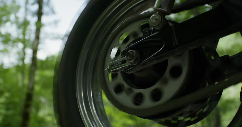 A motorcycle is driven through the woods