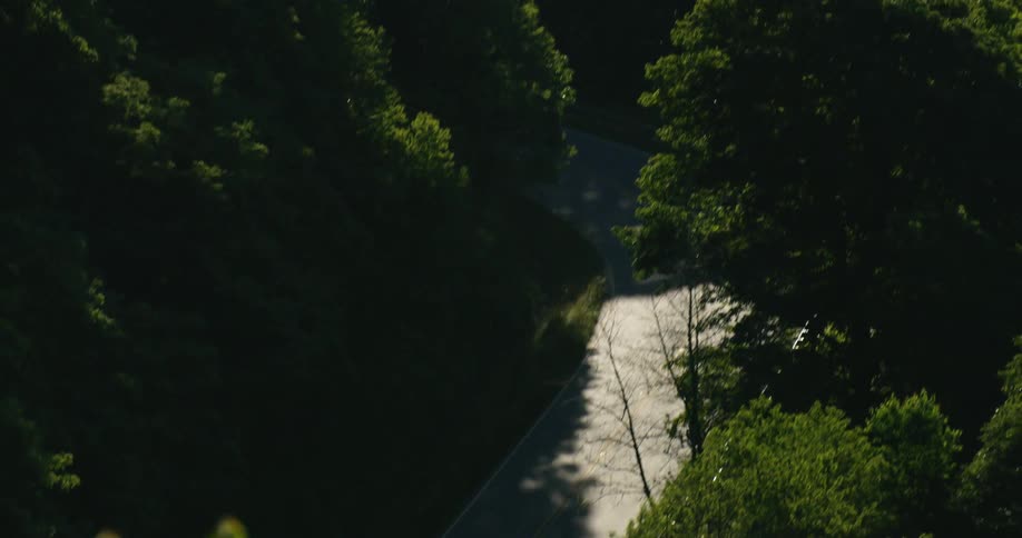 Friends On A Motorcycle Road Trip