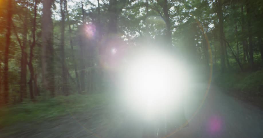 Motorcycle travels by the forest with its headlight on