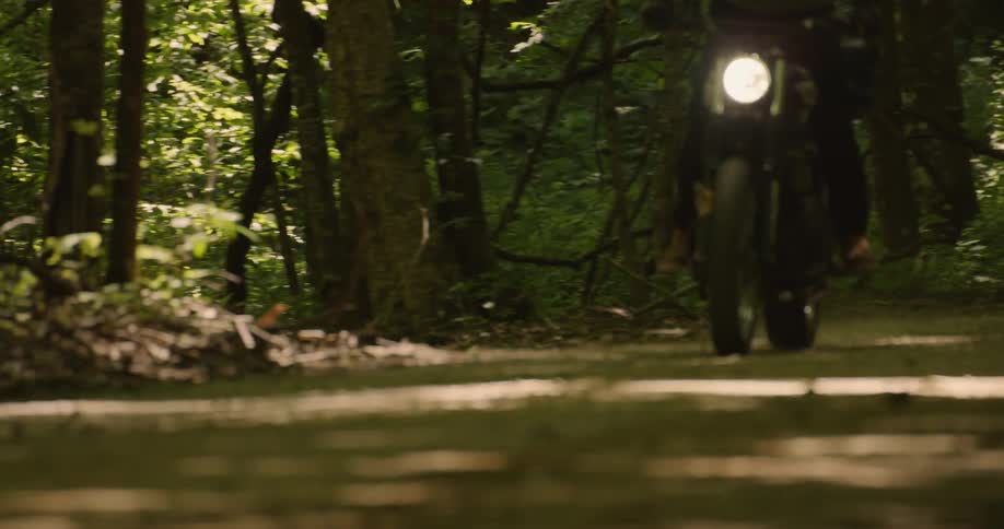 Two motorcycles travel near the trees