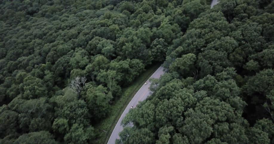 Two motorcycles drive on a forest road
