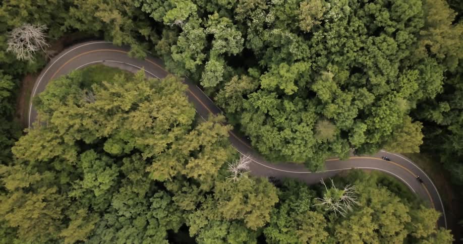Cars and motorcycles are traveling on winding forest highway