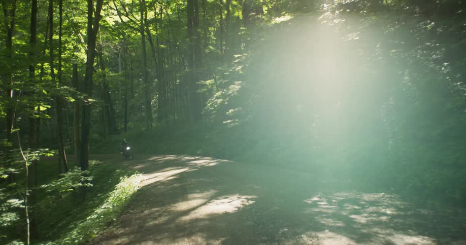 Motorcycle travels down a dirt road in the forest