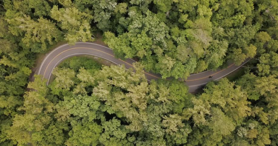 Motorcyclists ride on a twisty forest road