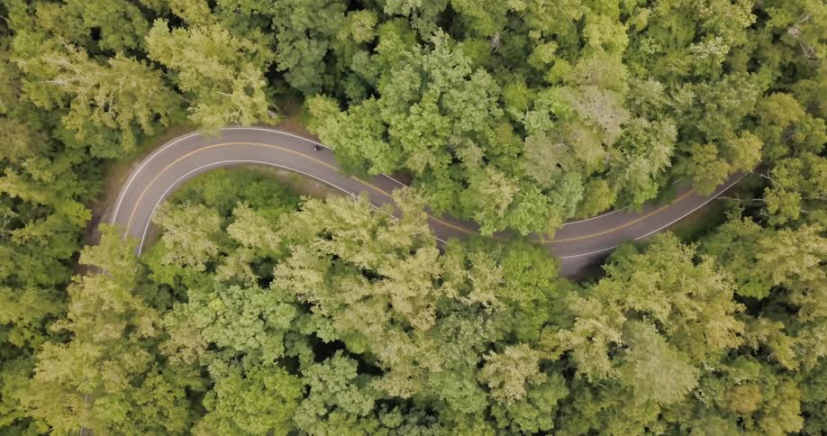 Vehicles travel on a winding road in the forest