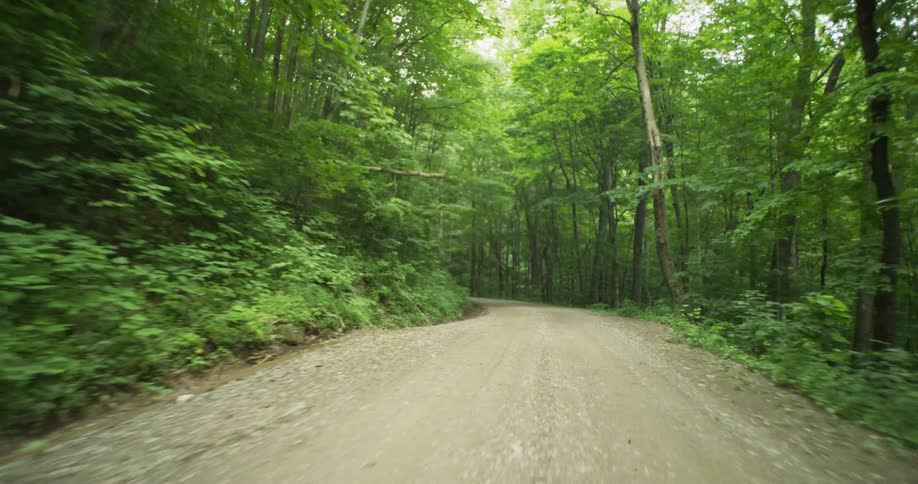 A vehicle drives through a forest